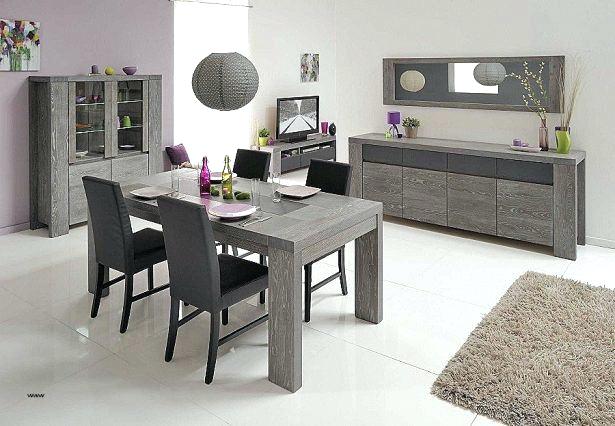 Model decoration salon moderne
