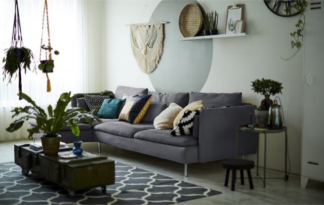 Décoration plante salon