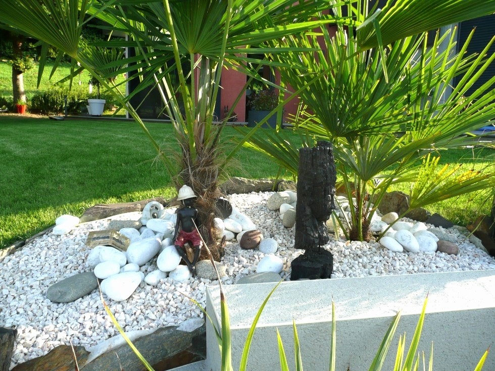 Image decoration jardin exterieur