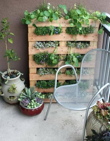Decoration de jardin pas chere