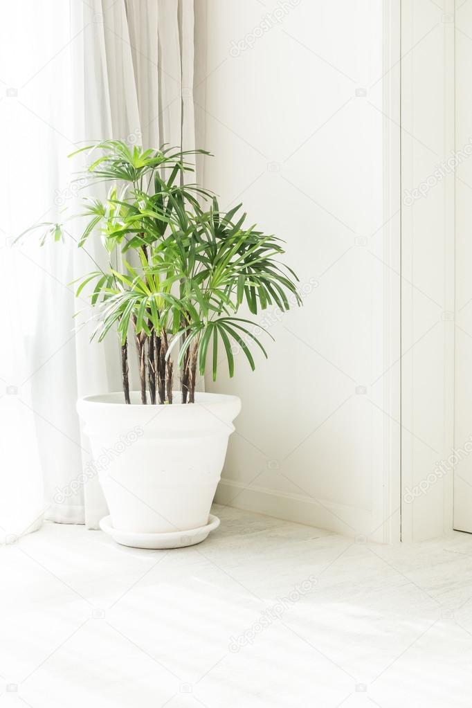 Decoration interieur vase