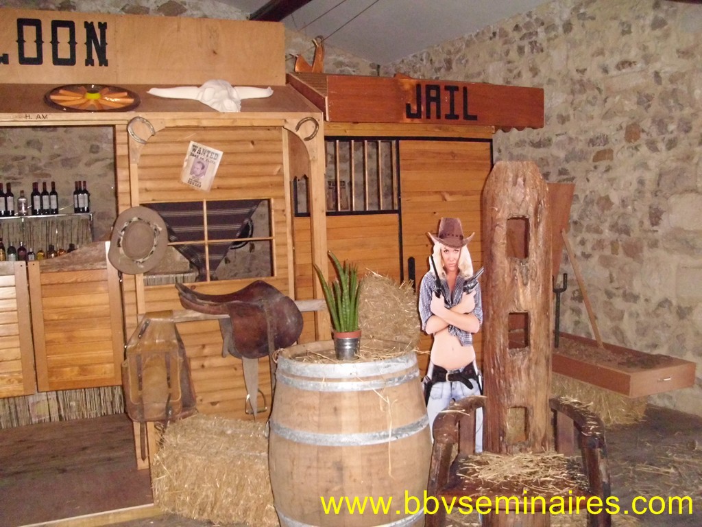 Décoration salon western