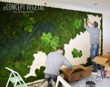 Decoration interieur vegetal