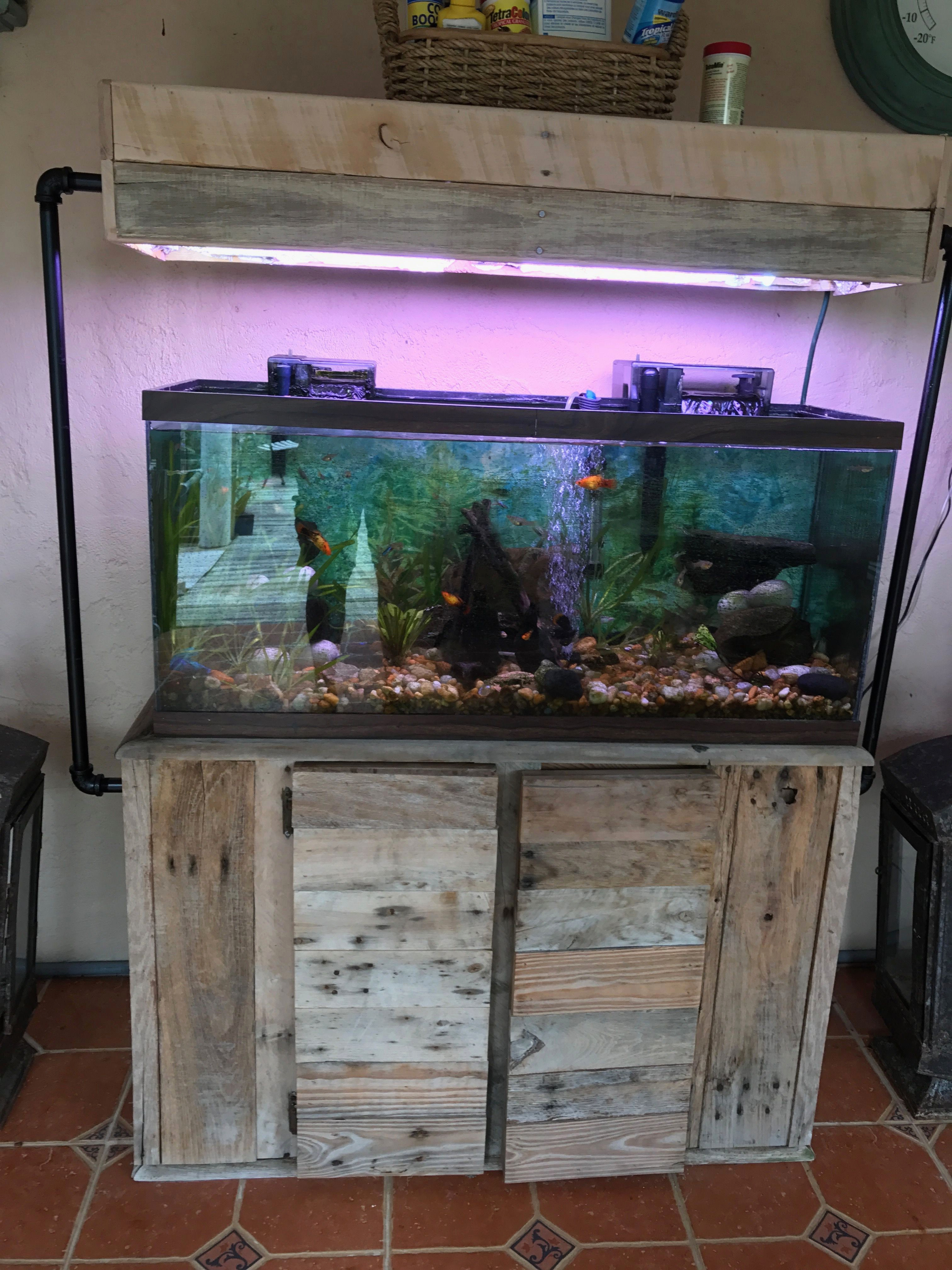 Decoration aquarium maison