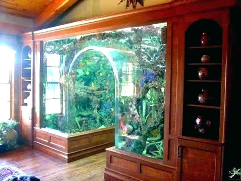 Decoration design aquarium