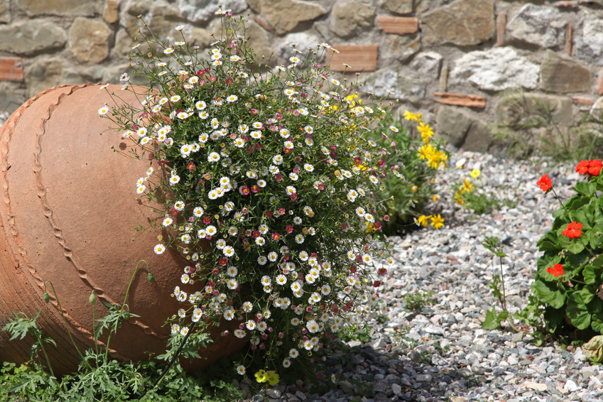 Décoration jardin amphore