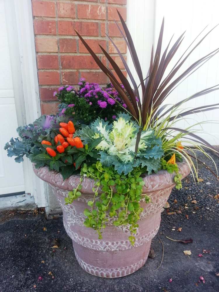 Decoration florale pour jardin