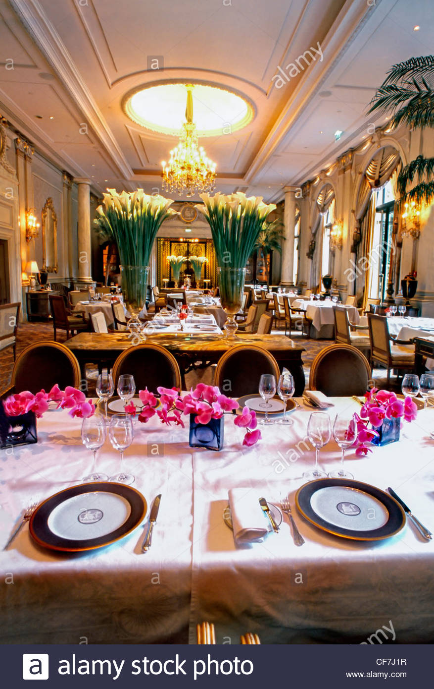 Decoration hotel restaurant design paris