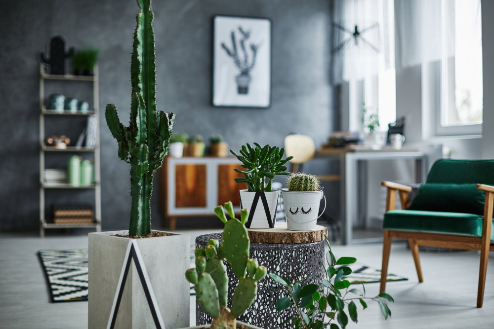Decoration d interieur grasse