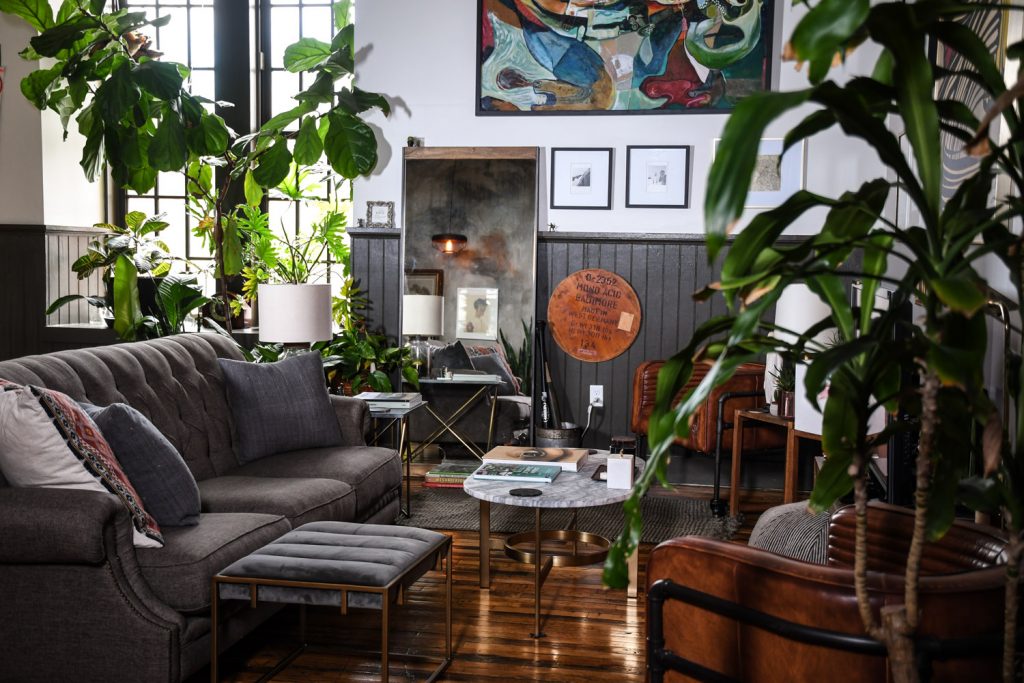 Decoration interieur plante verte