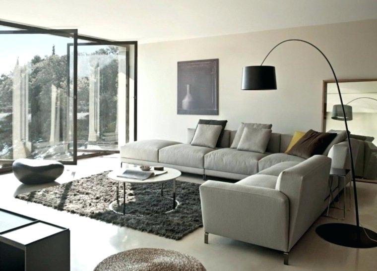 Decoration salon canape gris