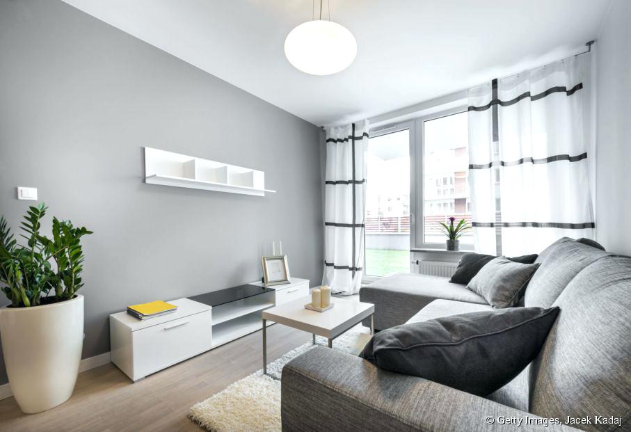 Decoration salon couleur gris