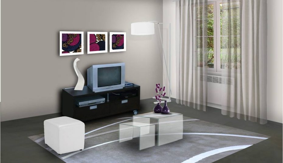 Decoration peinture salon gris