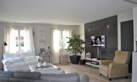 Idée décoration salle salon