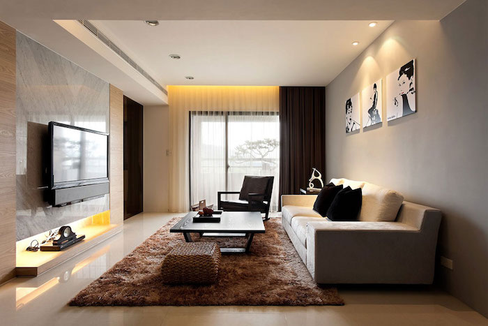 Decoration salon avec gris