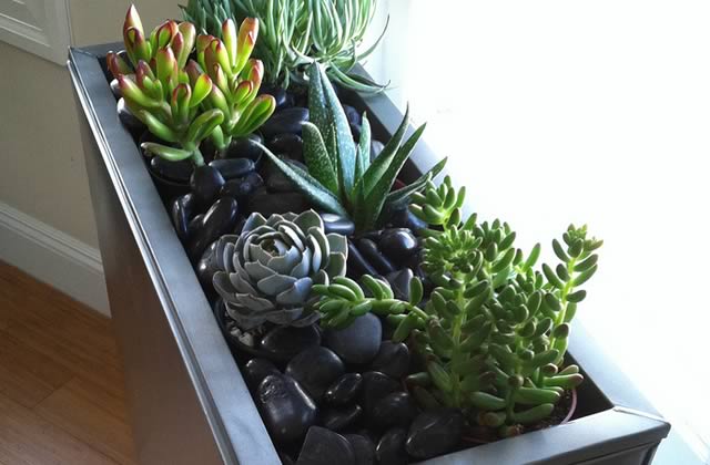 Boutique en ligne de decoration interieur
