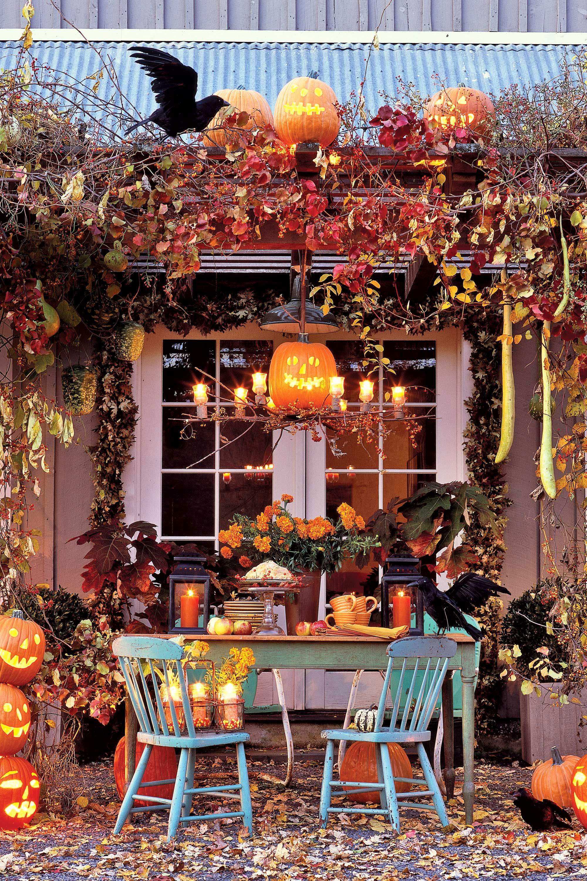 Halloween decoration jardin