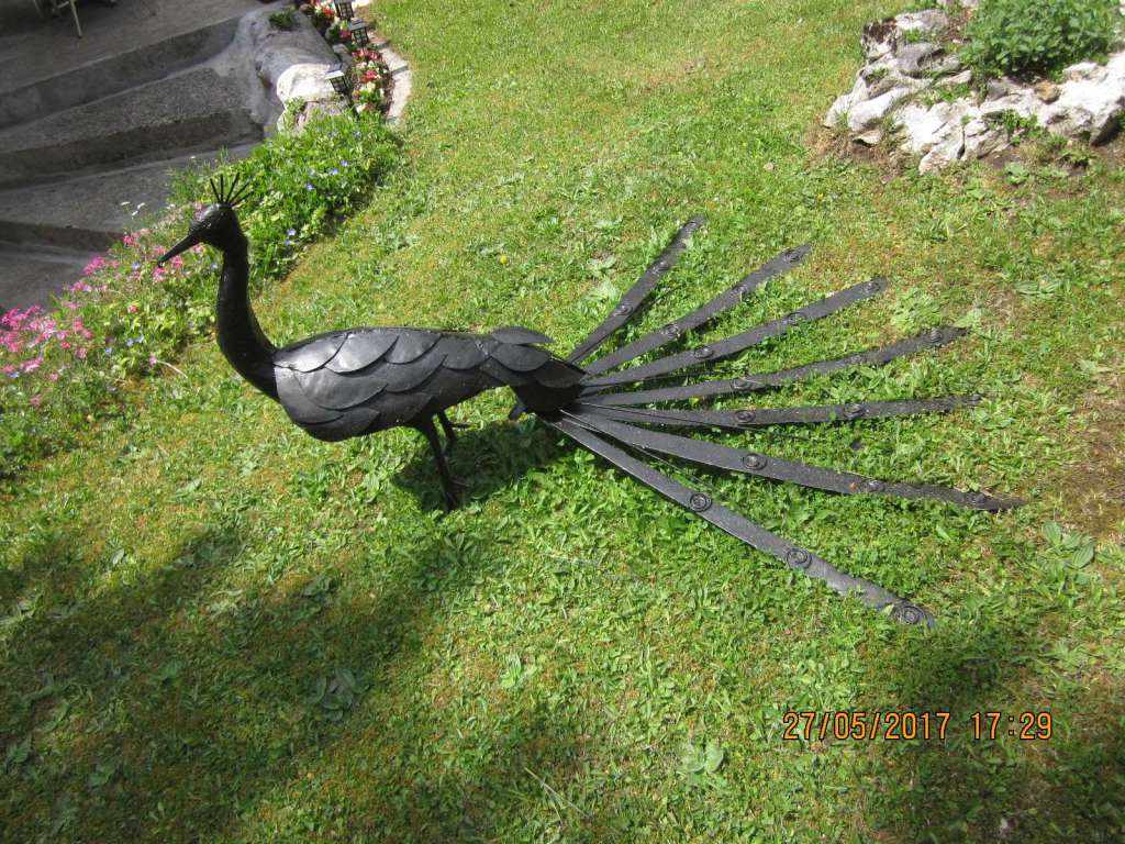 Paon decoration jardin
