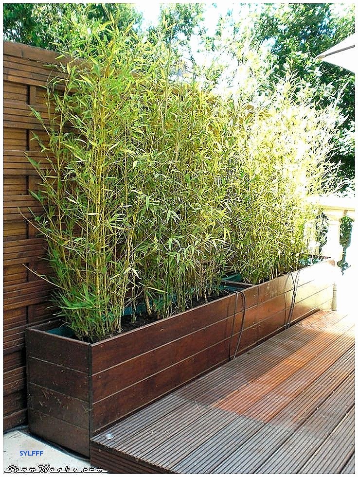 Decoration jardin en bambou