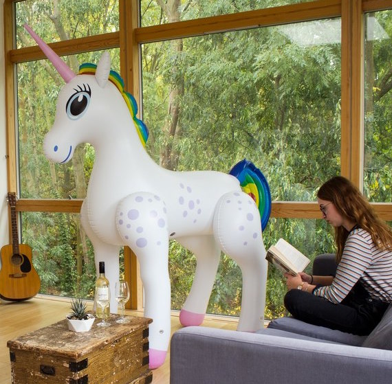 Decoration maison licorne
