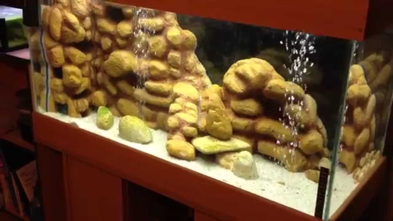 Decoration D Aquarium Fait Maison