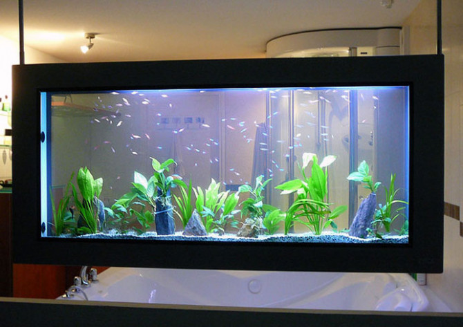 Décoration aquarium maison