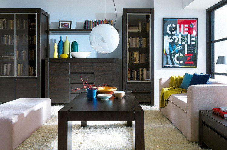 Decoration salon meuble wenge