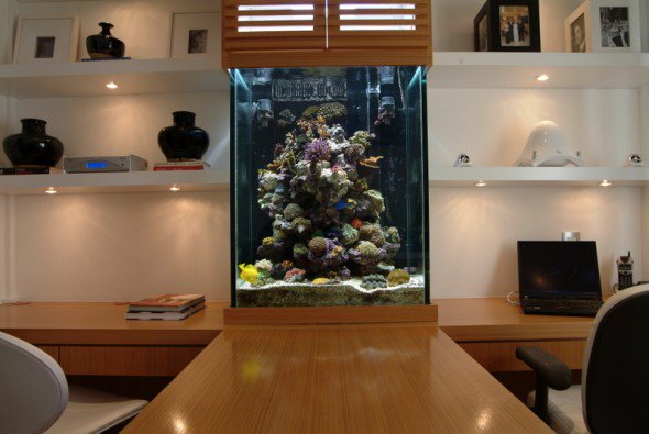 Decoration salon avec aquarium