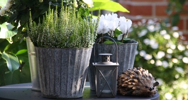 Decoration jardin zinc