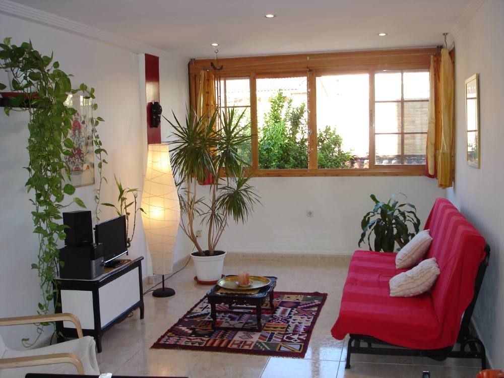 Plante decoration salon