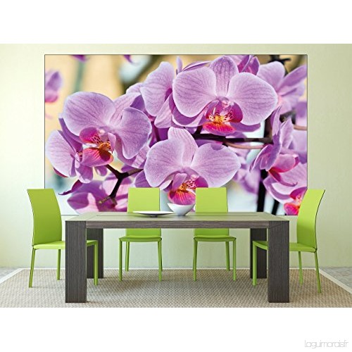 Decoration murale orchidée