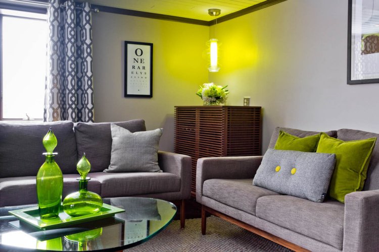 Decoration salon vert et gris