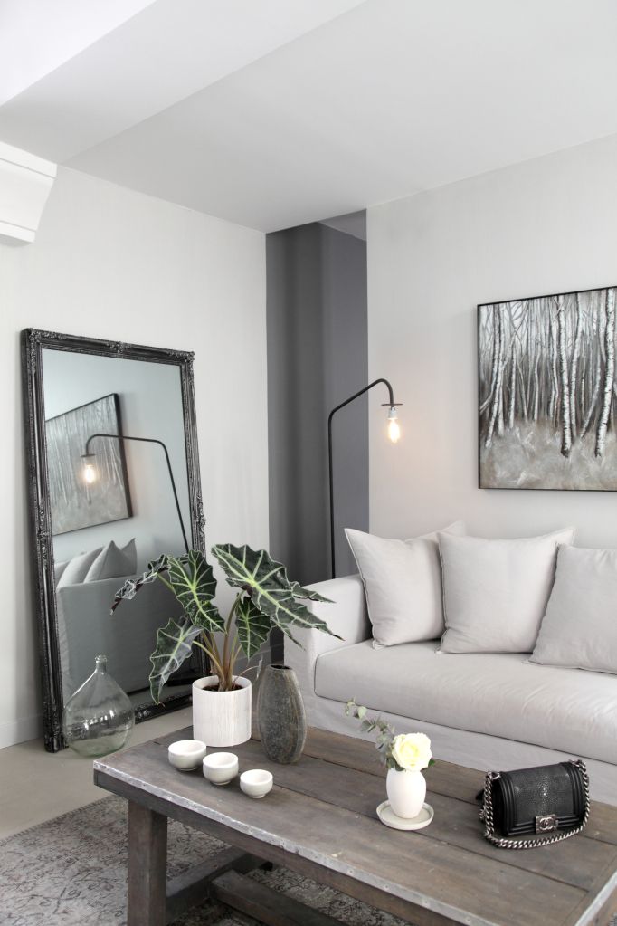 Decoration d'un salon gris