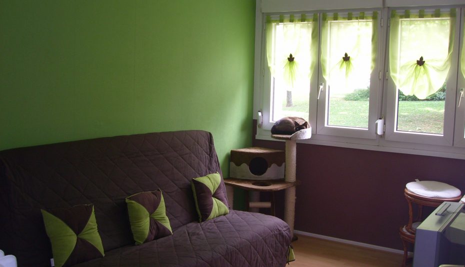 Decoration salon vert anis et marron
