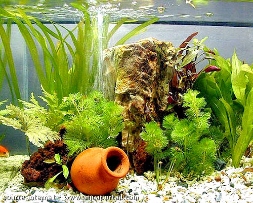 Decoration pour aquarium fait maison