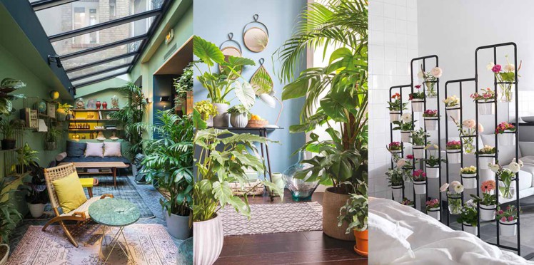 Decoration plante interieur