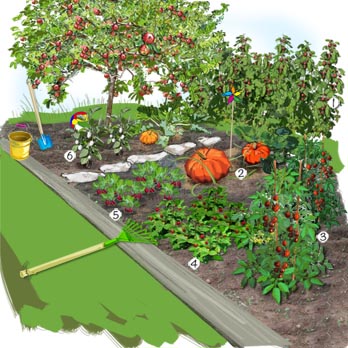 Décoration jardin potager