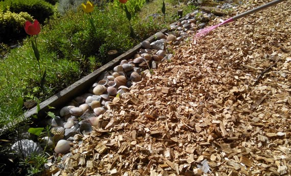 Décoration sol jardin