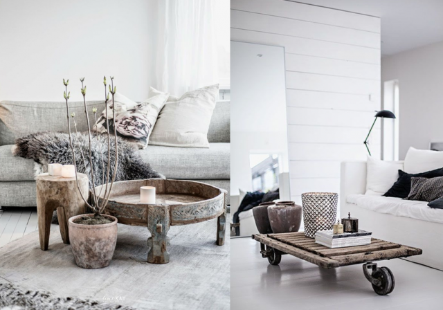 Decoration naturel salon
