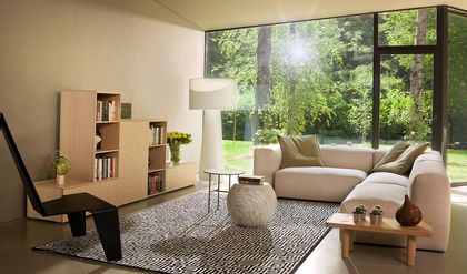 Decoration zen dans salon
