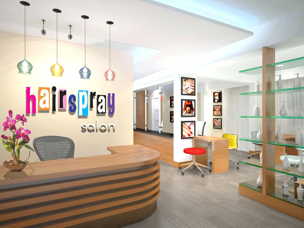 Salon decoration nice