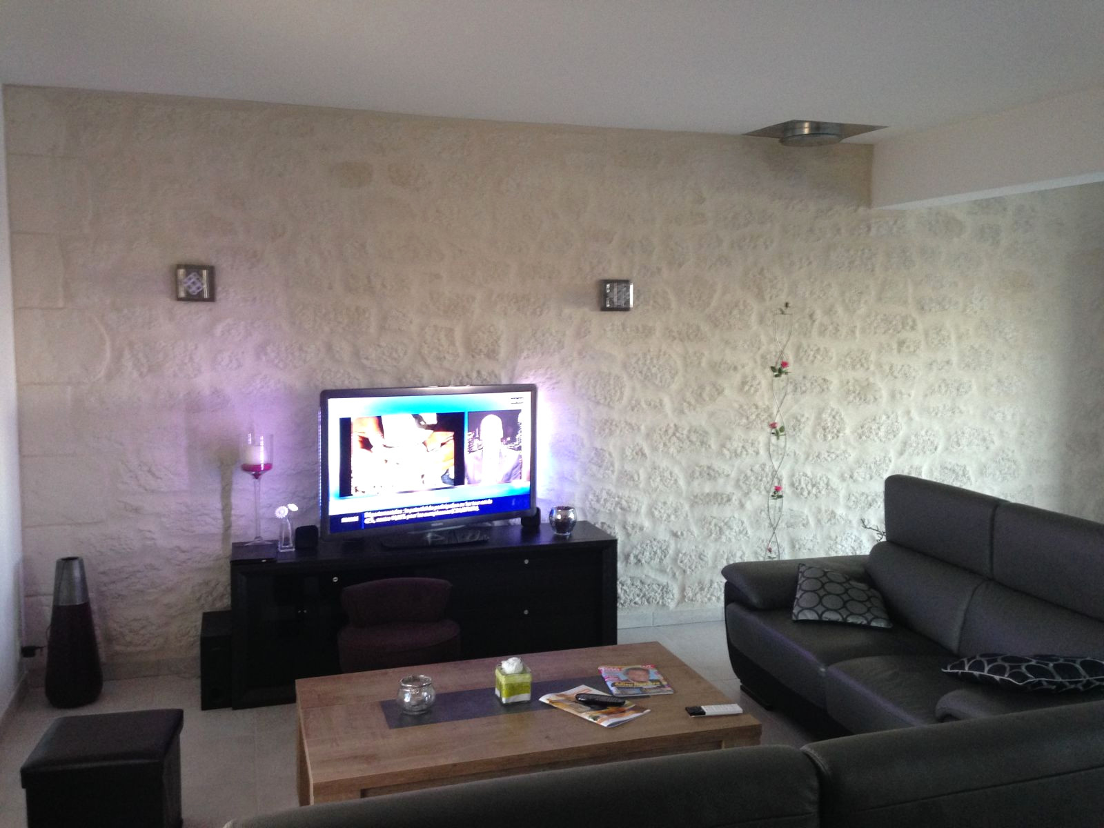 Décoration naturelle salon