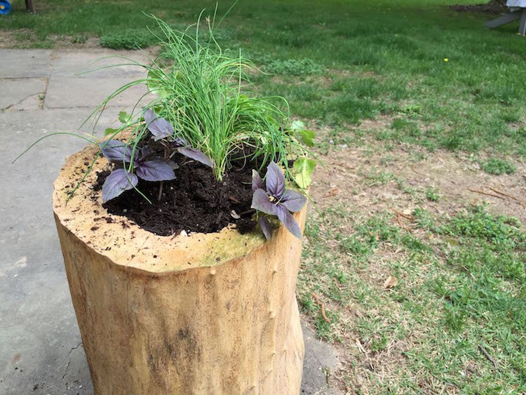 Souche décoration jardin