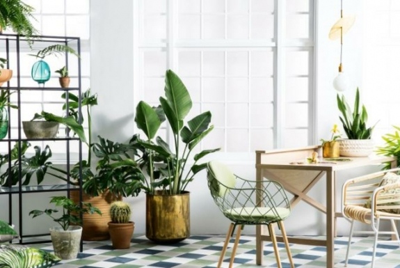 Idées décoration d intérieur
