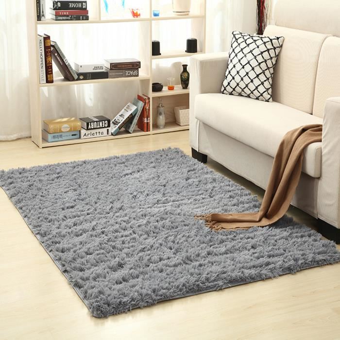 Decoration tapis salon