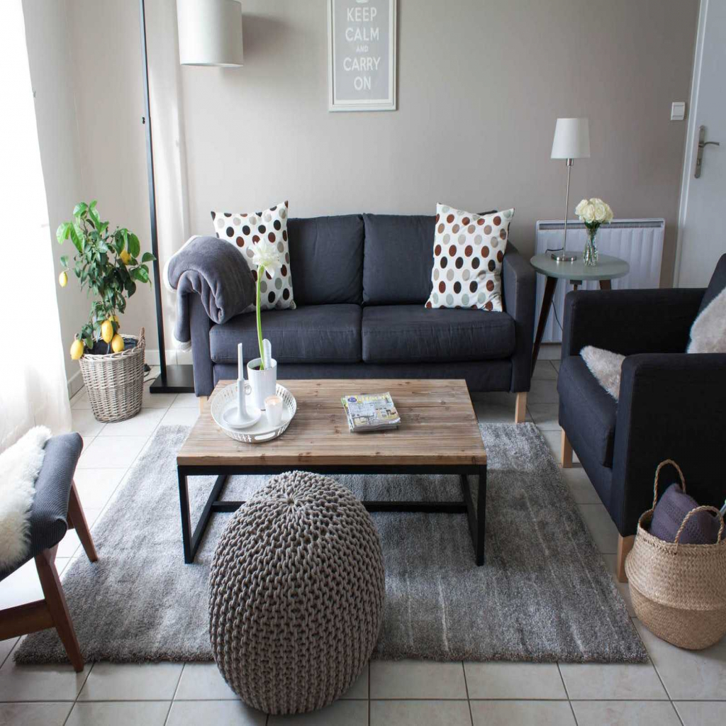 Decoration salon beige et gris