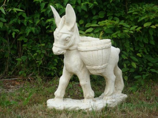 Ane décoration de jardin