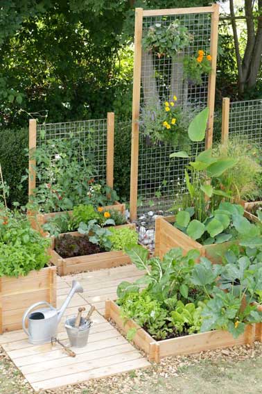 Decoration de jardin potager