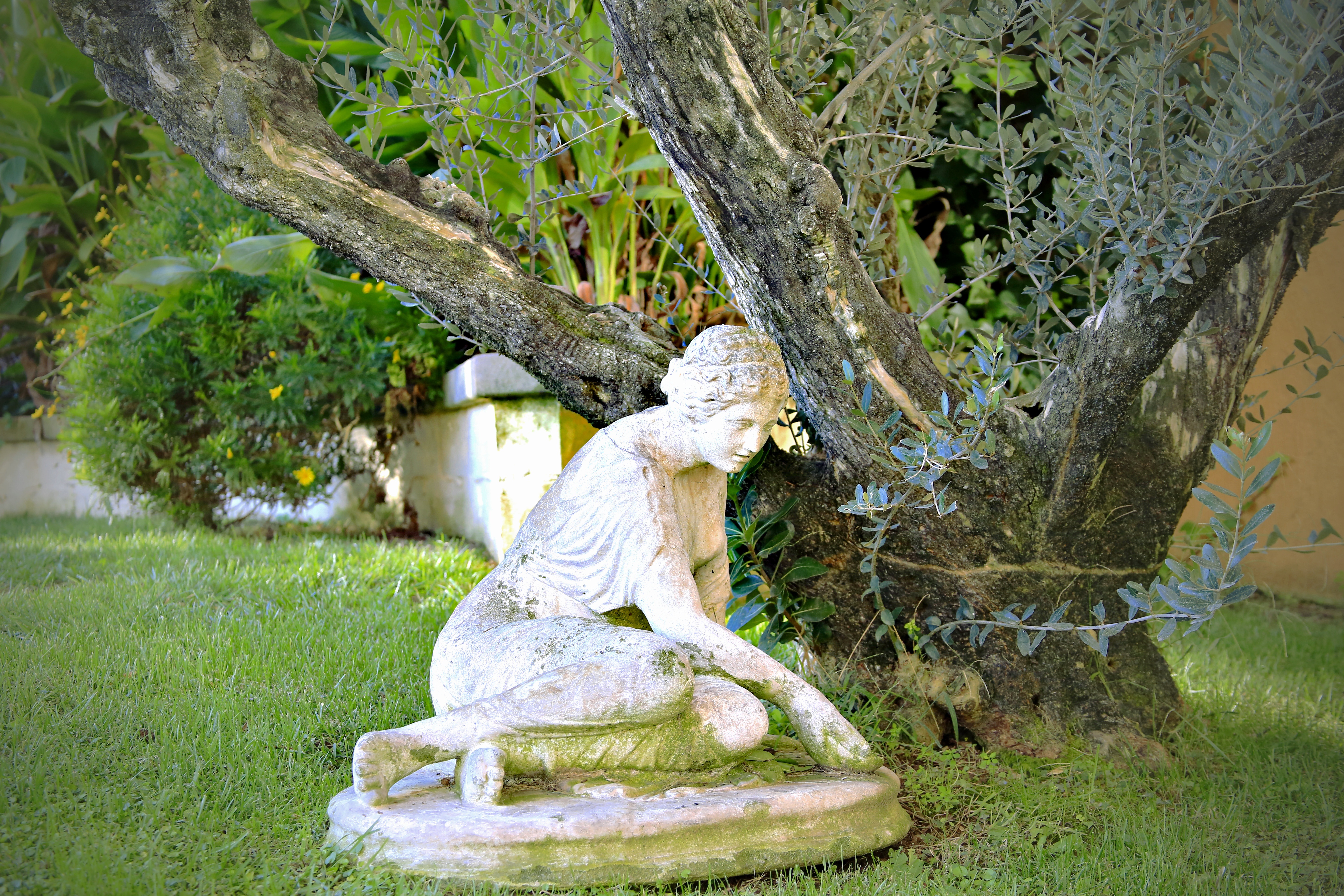 Decoration de parcs et jardin