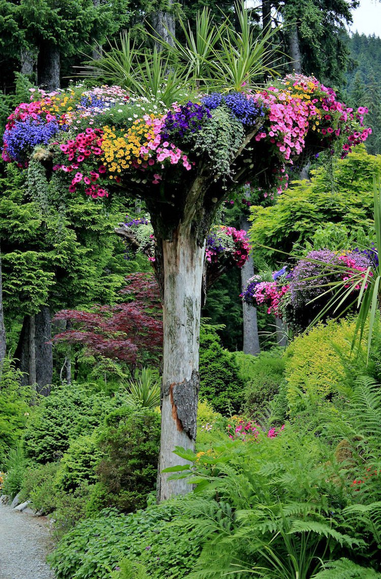 Arbres decoration jardin